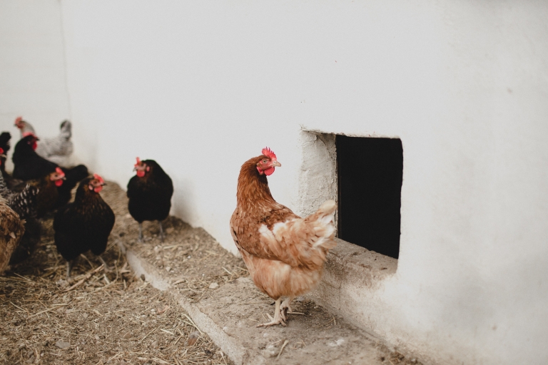 rustic wedding in ronda