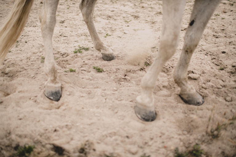 rustic wedding in ronda