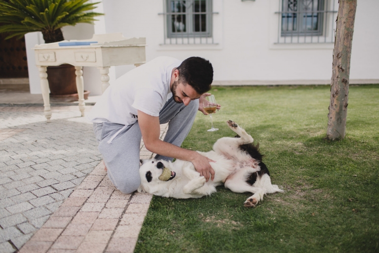 photo detail of the wedding decoration 