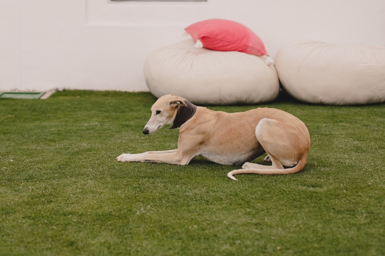 details of the wedding location at ronda mountain resort