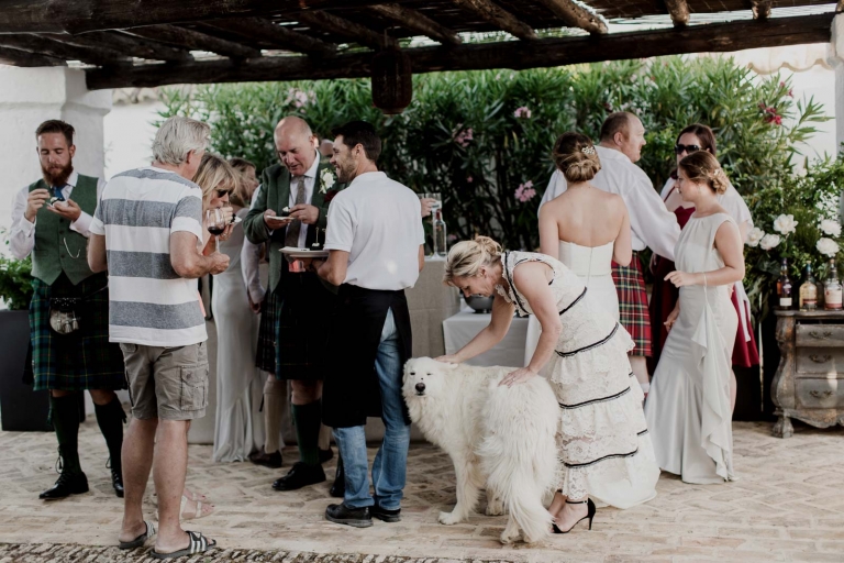 wedding reception photo