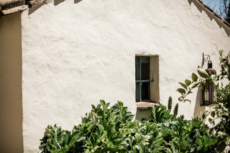 wedding reception photo